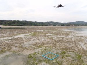 488002406_1180572560523014_7265957190730529704_n