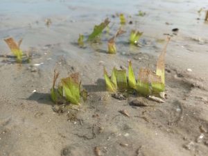 488183246_1180572607189676_5442457039495216317_n