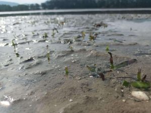 488583122_1180572307189706_1510371988995346393_n